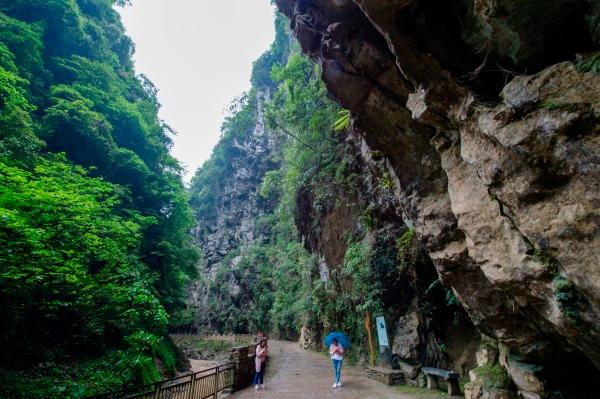 合肥市两稻米品牌荣获金奖